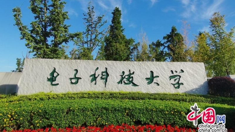 电阻报价单模板：揭秘电子元器件采购的规范之道